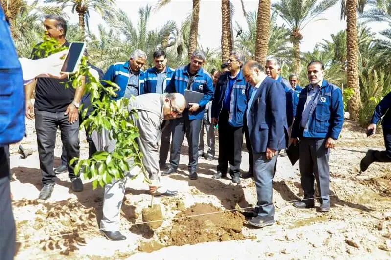غرس نهال در پارک تفریحی آهنشهر همزمان با بازدید معاون سرمایه‌گذاری و اقتصادی صندوق بازنشستگی کشور