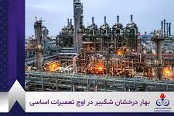 تحقق سود خالص ۱۵۹ درصدی و جهش ۳۰ درصدی درآمد فروش
