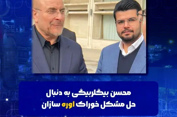 محسن بیگلربیگی به دنبال حل مشکل خوراک اوره سازان
