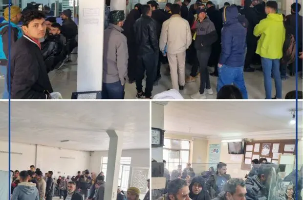 مهاجرین استان خراسان رضوی از خدمات بیمه ای شرکت بیمه حکمت صبا استقبال خیلی خوبی کردند
