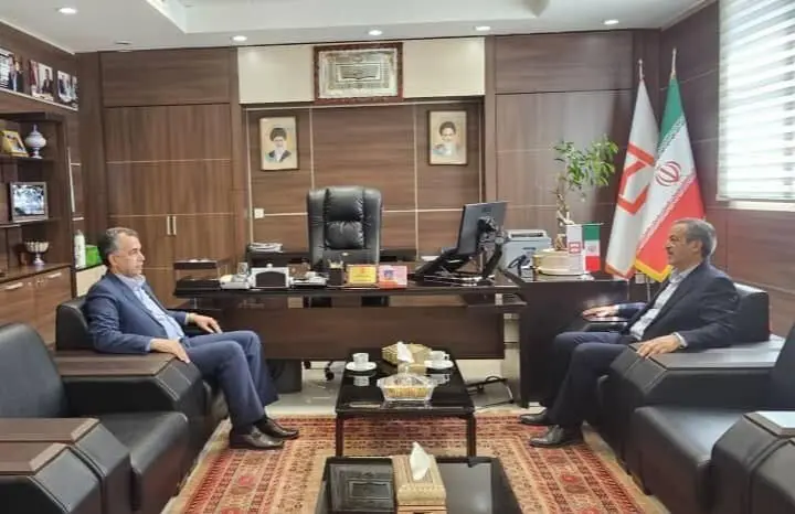 قدردانی مدیرعامل انجمن خیرین مسکن ساز خراسان جنوبی از بانک مسکن
