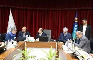 تکمیل زنجیره ارزش ، هدف مهم ما برای توسعه ایران است
