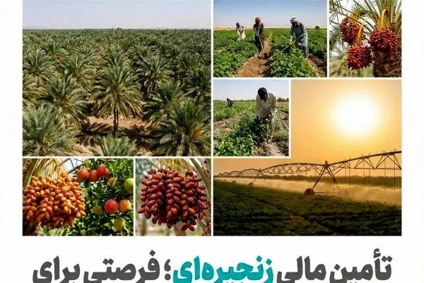 تأمین مالی زنجیره ای؛ فرصتی برای عبور کشاورزی سیستان و بلوچستان از فقر ساختاری به ارزش افزوده پایدار
