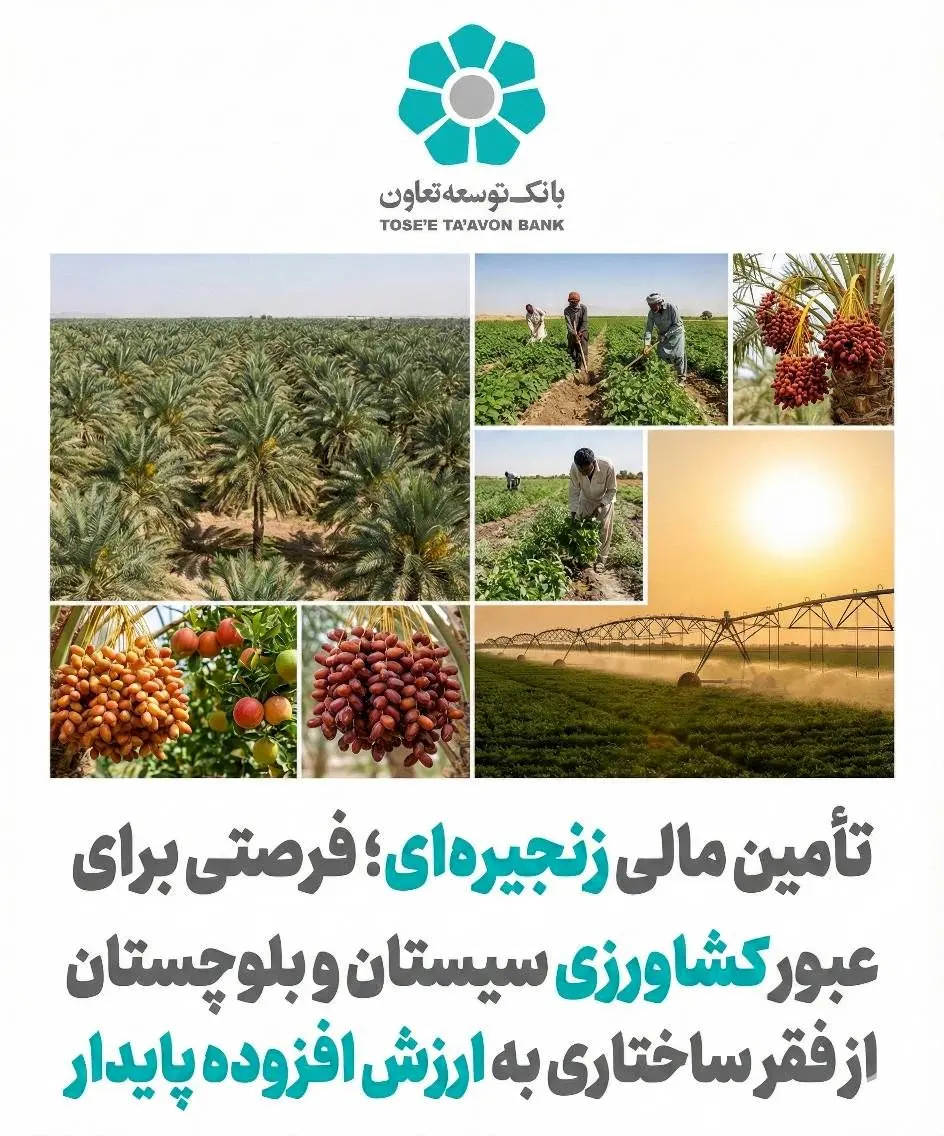 تأمین مالی زنجیره ای؛ فرصتی برای عبور کشاورزی سیستان و بلوچستان از فقر ساختاری به ارزش افزوده پایدار
