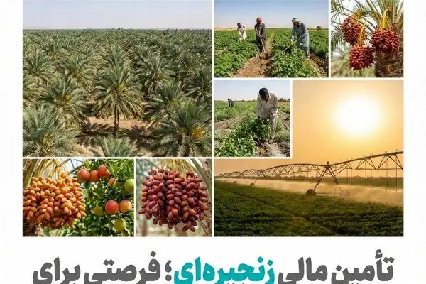 تأمین مالی زنجیره ای؛ فرصتی برای عبور کشاورزی سیستان و بلوچستان از فقر ساختاری به ارزش افزوده پایدار
