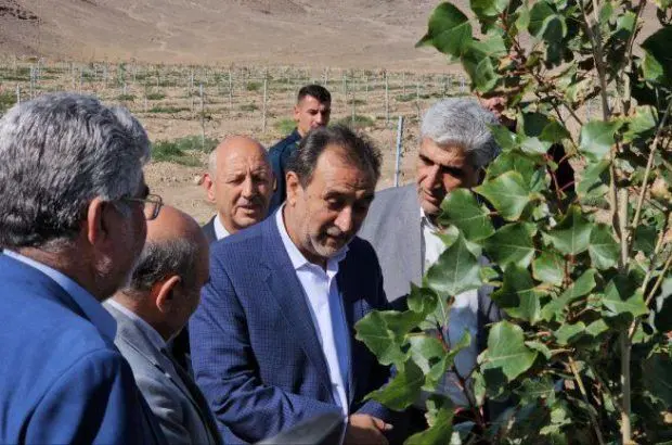 سرمایه گذاری های حوزه کشاورزی منطقه آزاد ماکو افتخارآمیز است
