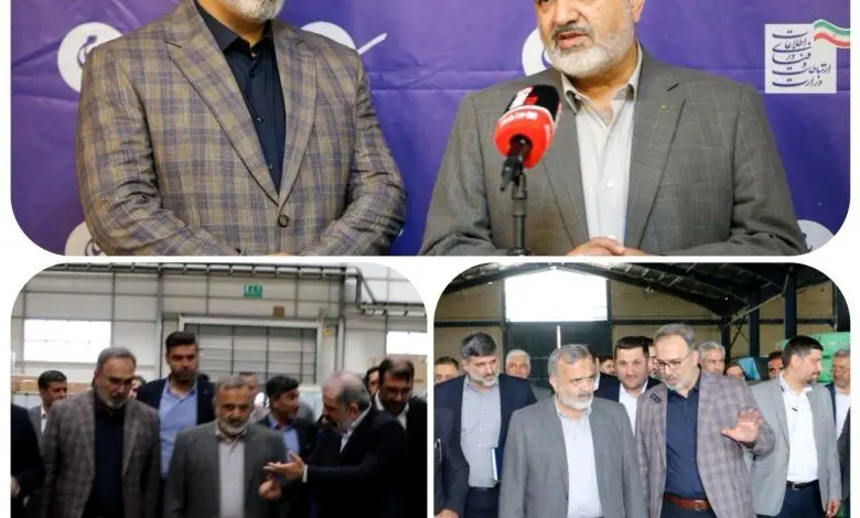 تکمیل شدن زنجیره فعالیت های اقتصادی در پیام با توسعه صادرات
