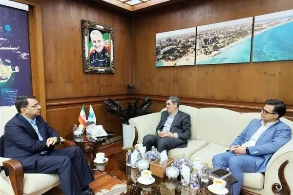 ایده درمان تکمیلی کیشوندان در دست بررسی است
