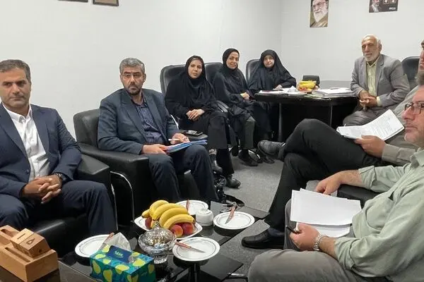 بررسی چالش‌های قرارداد جامع درمان تکمیلی ایثارگران در نشست هم‌اندیشی بنیاد شهید و بیمه دی گلستان