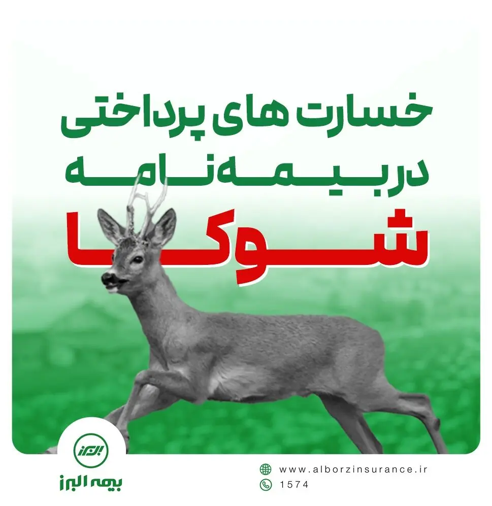 گریزی بر برخی خسارت های پرداختی در طرح شوکا بیمه البرز
