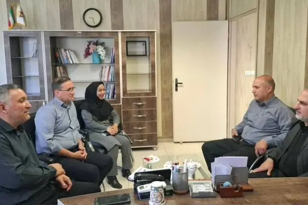 پرتفوی تجمیعی بیمه ای وزارت نیرو" شرکت توزیع برق " زنجان به بیمه دی رسید 