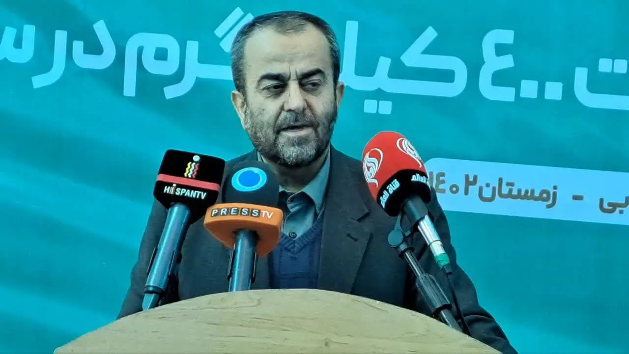تقدیر استاندار خراسان جنوبی از اقدامات توسعه ای ایمیدرو در استان
