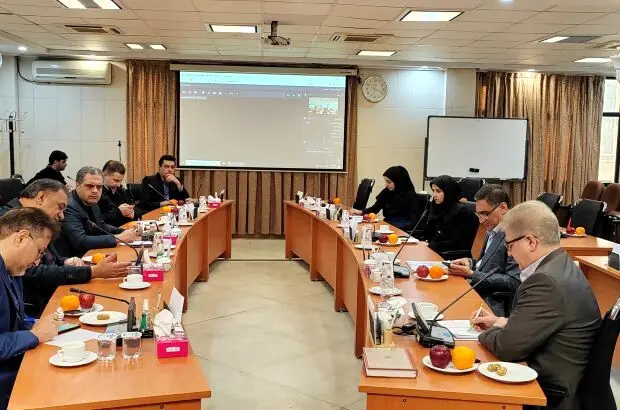 برگزاری پنجمین جلسه کارگروه مدیریت ریسک پژوهشکده بیمه
