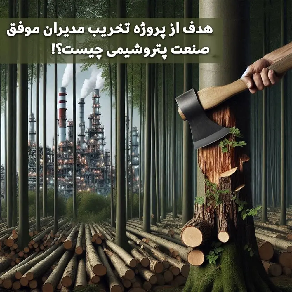 فساد ستیزی مدیران جهادی صنعت پتروشیمی برای چه کسانی گران تمام می شود؟!