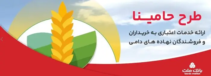 “حامینا” محصول جدید بانک ملت برای تامین مالی نهاده های دامی
