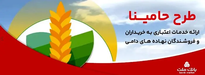 “حامینا” محصول جدید بانک ملت برای تامین مالی نهاده های دامی
