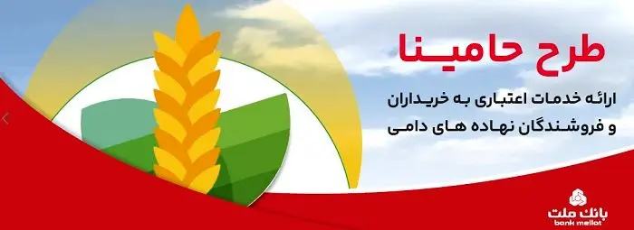 “حامینا” محصول جدید بانک ملت برای تامین مالی نهاده های دامی
