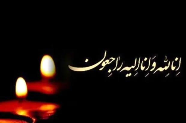 پیام تسلیت مدیرعامل گروه مپنا به مناسبت درگذشت مصدوم حادثه نیروگاه پرند
