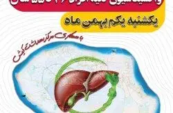 آغاز طرح جزیره عاری از هپاتیت با اجرای واکسیناسیون
