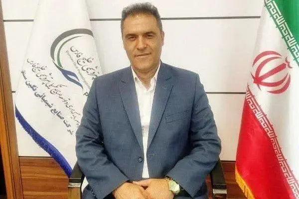 مدیرعامل پتروشیمی ایلام منصوب شد