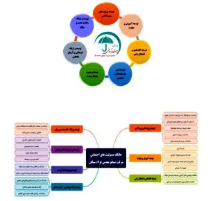 نقش مسئولیت اجتماعی و دلیل اهمیت آن در سازمان ها
