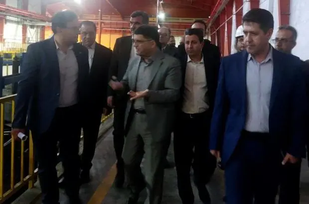 بازدید قائم مقام وزیر صمت در امور بازرگانی از واحدهای صنعتی و تولیدی استان ایلام
