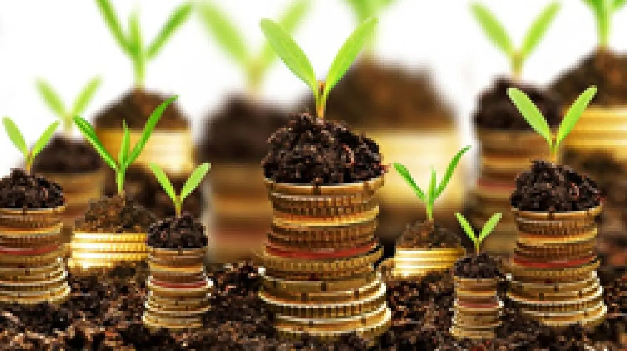 چرا هلدینگ ها در سرمایه گذاری موفق ترند؟