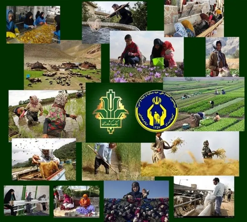 جایگاه برتر بانک کشاورزی در پرداخت تسهیلات قرض الحسنه بند ب تبصره16 کمیته امداد امام خمینی