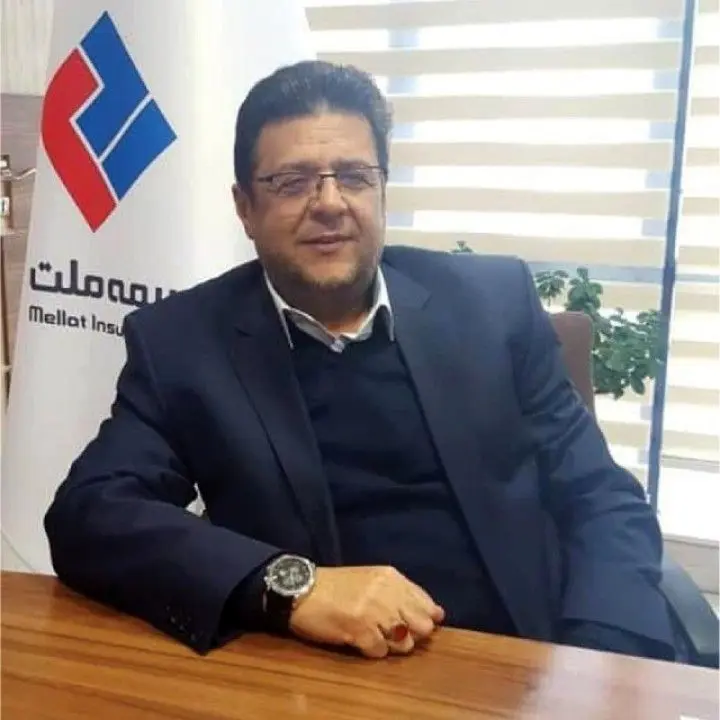 پیام تبریک سرپرست مدیریت عامل بیمه ملت به مناسبت آغاز هفته دولت