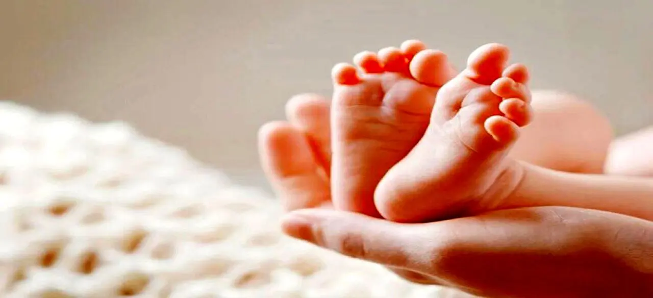 تلاش می کنیم خدمات بیمه ای بهتری در اختیار زوج های نابارور قرار گیرد