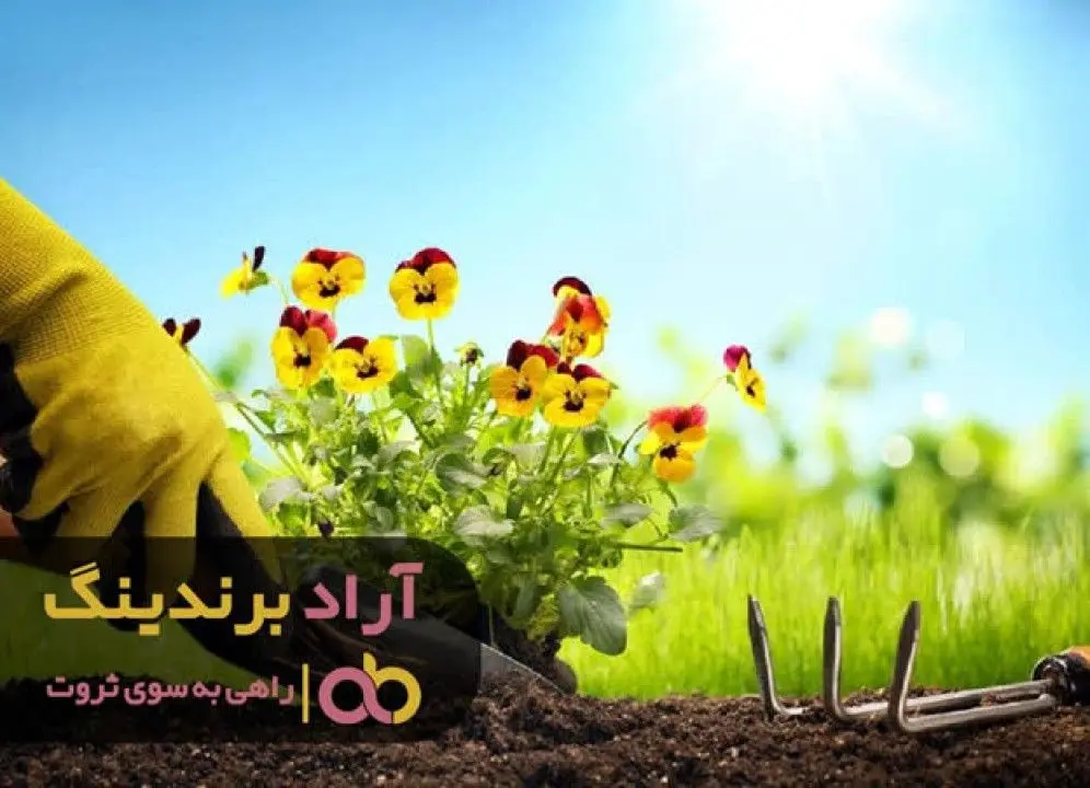 ابزار آلات راه رسیدن به ثروت را برایم هموار کرد