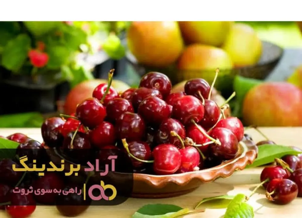 با تولید انواع آلبالو بدون دغدغه میلیاردر شدم