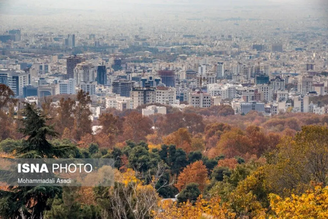 رفتار عجیب بازار اجاره!