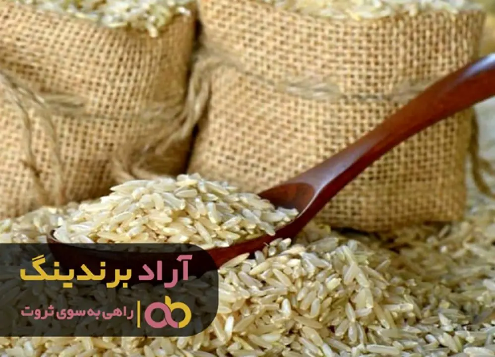 با برنج عضو خانواده بزرگ ثروتمندان شدم