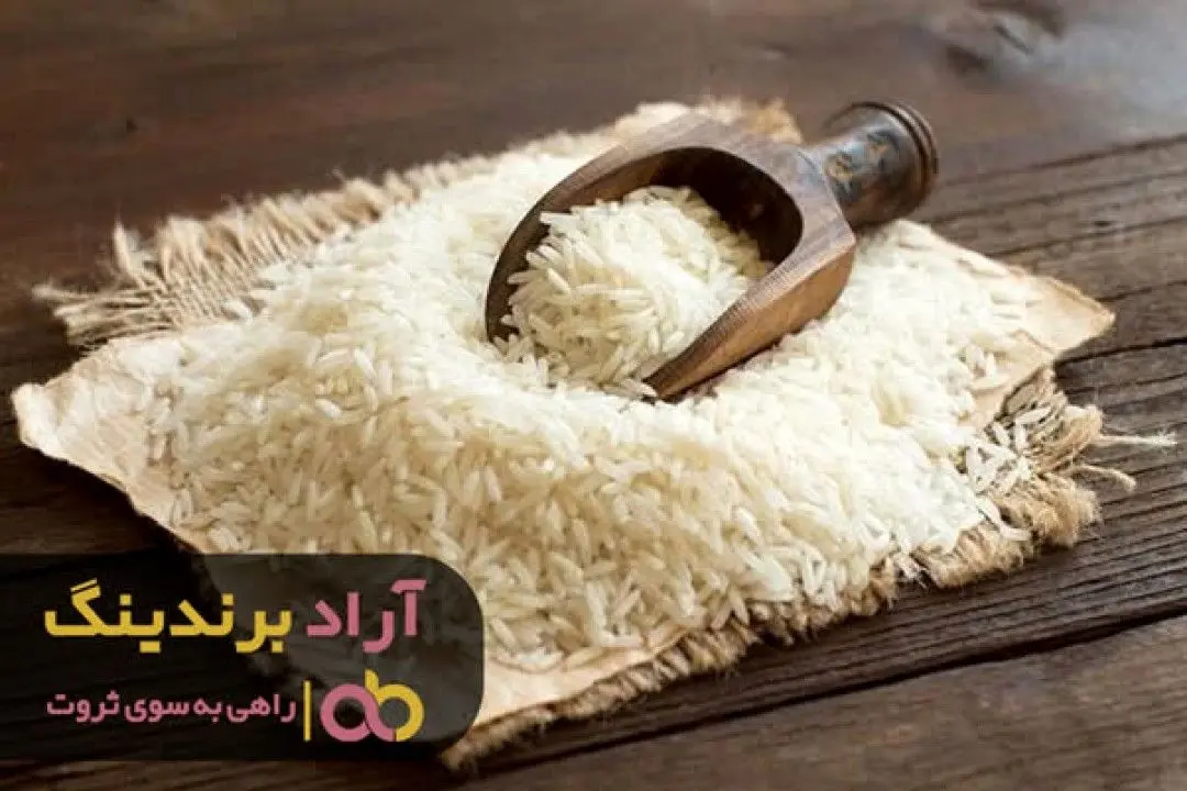 با شروع کار اصلی خود به ثروت سلام کنید