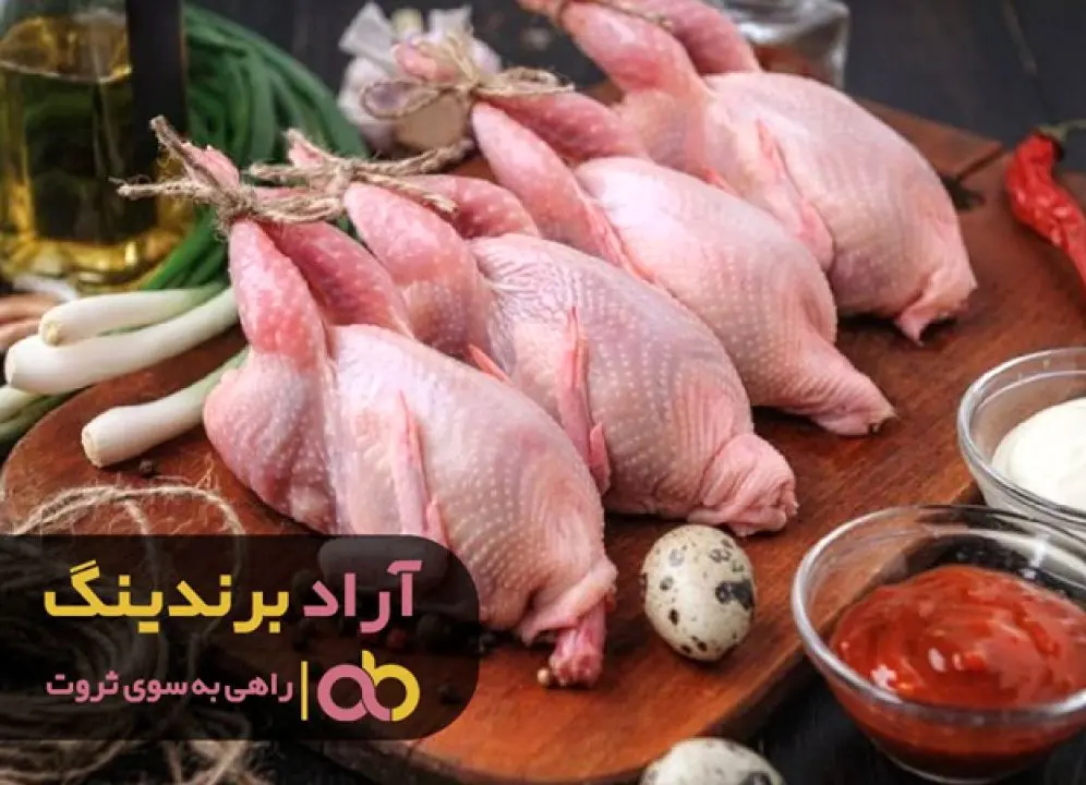 اهرم رسیدن به ثروت چیست؟