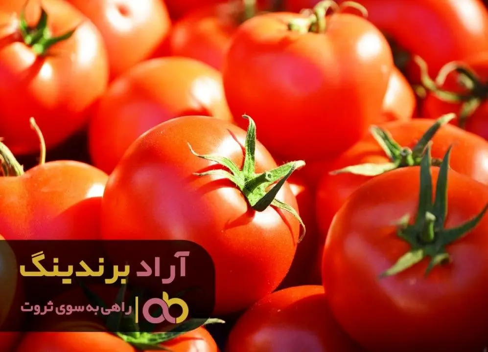 عادت های مفید که شما را در ریل ثروت قرار می دهند