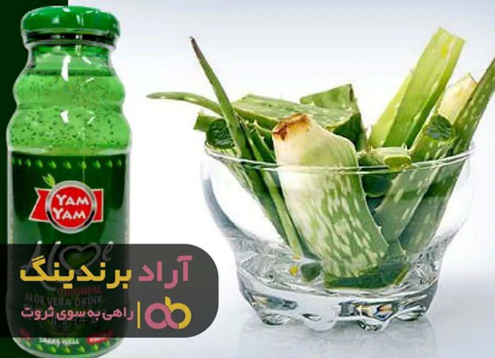 با پرورش صفات شگفت انگیز به مغناطیس ثروت تبدیل شوید