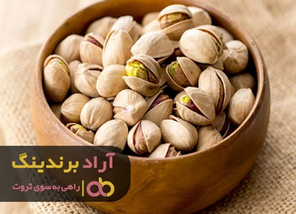 با عمل کردن برنامه ثروتمند شدن را اجرا کنید
