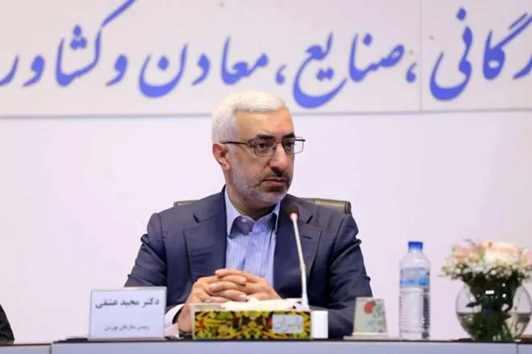 شرکت ملی مس از شرکتهای بزرگ بازار سرمایه متعلق به استان کرمان می باشد