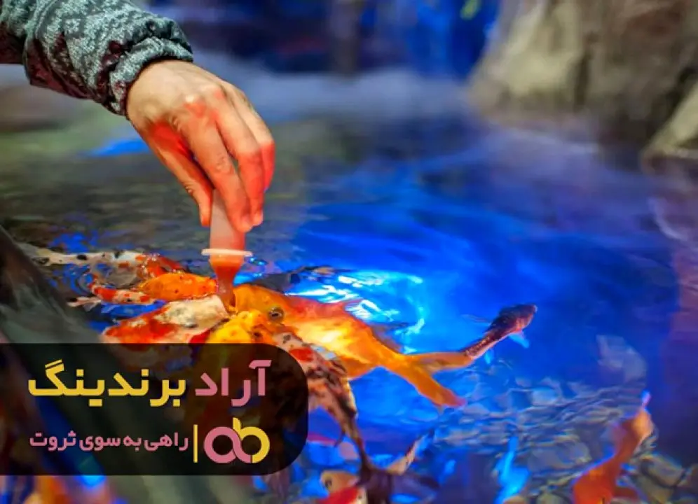 با این حوزه به دستاورد های مالی رسیدم
