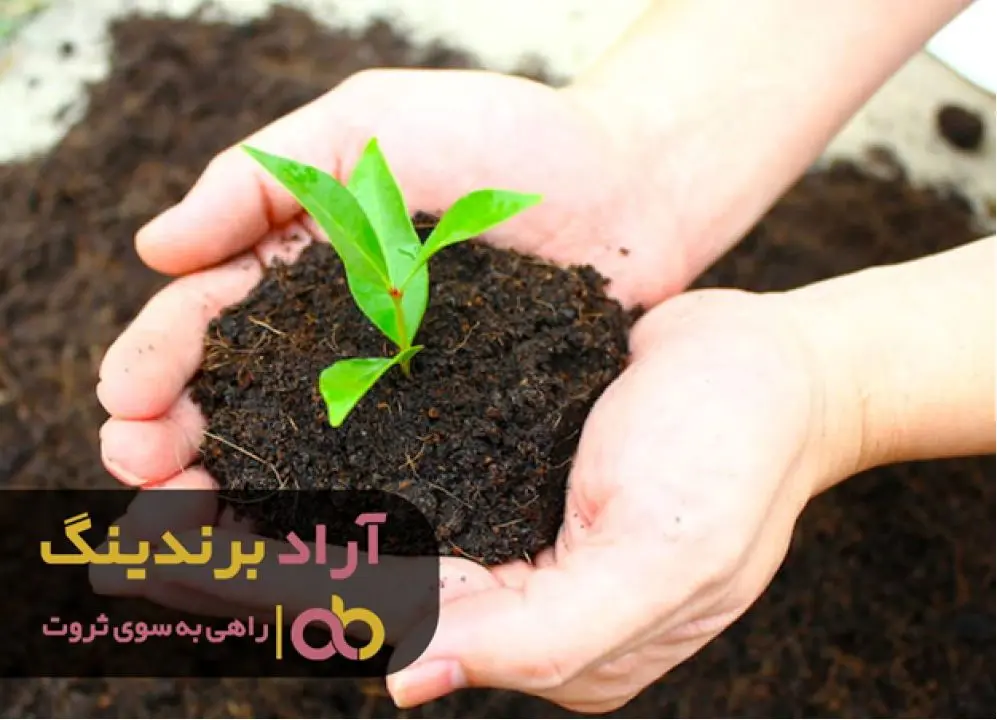 با خاک در سرزمین موفقیت ها شکوفا شو
