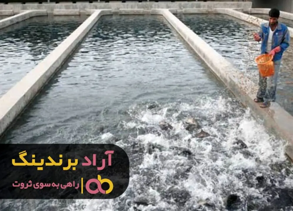 10 اصل طلایی موفقیت