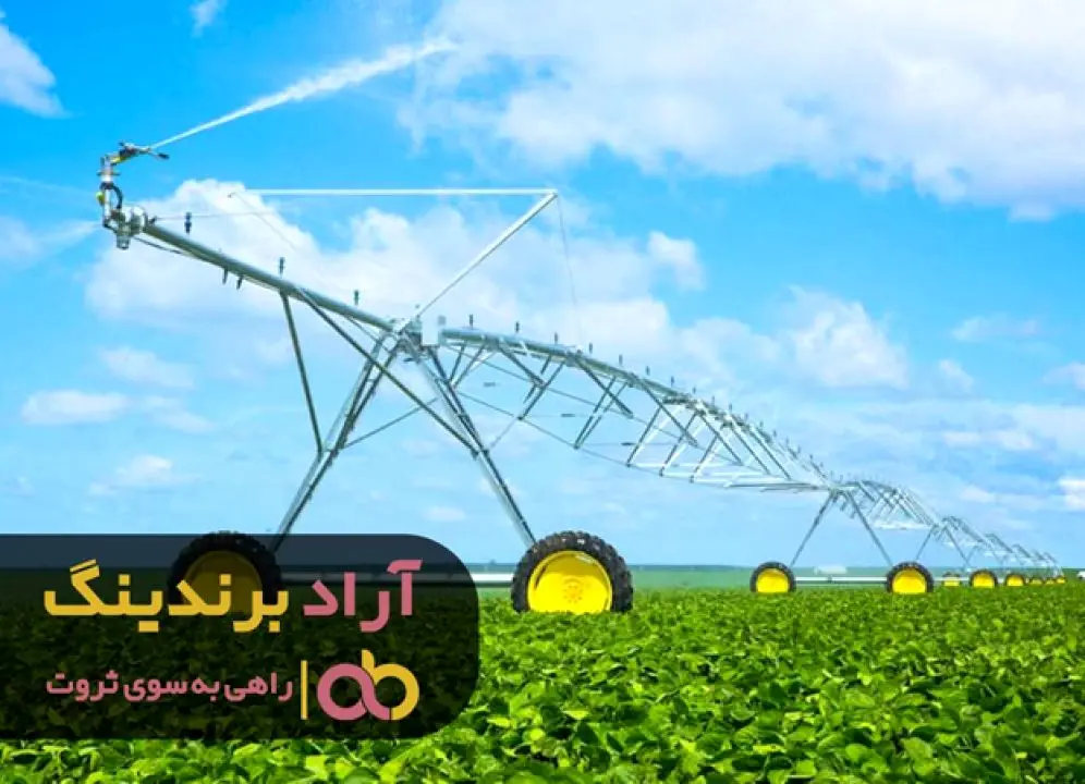زندگی خود را با شغل جدیدم توسعه دادم