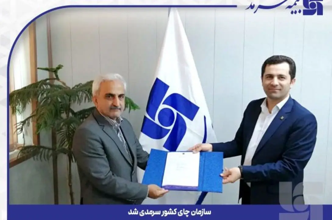 سازمان چای کشور، سرمدی شد