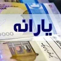 یارانه بیش از ۶.۵ میلیون مشتری بانک ملی ایران پرداخت شد