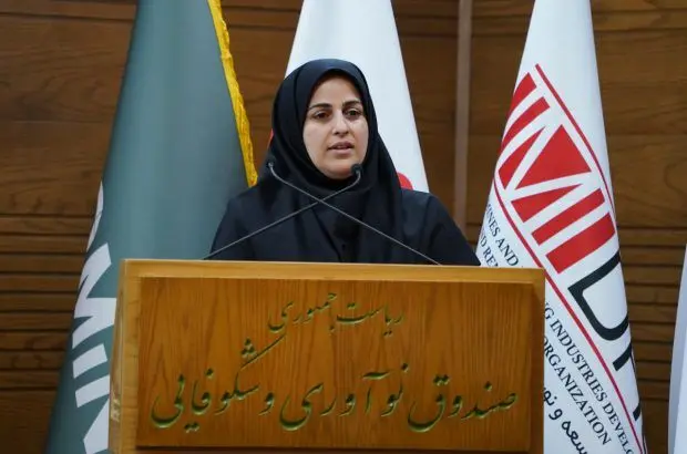 بسترسازی ایمیدرو برای توسعه نوآوری در بخش معدن و صنایع معدنی

