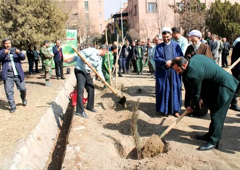 درختکاری، هدیه‌ای ماندگار به زمین
