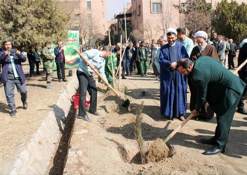 درختکاری، هدیه‌ای ماندگار به زمین
