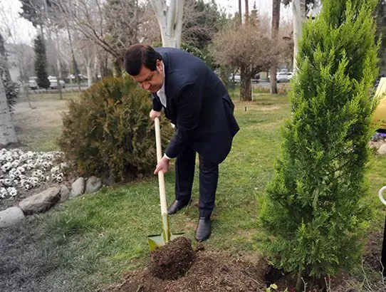 کاشت نهال توسط مدیرعامل بانک کشاورزی به مناسبت روز درختکاری
